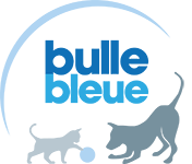 logo bulle bleue