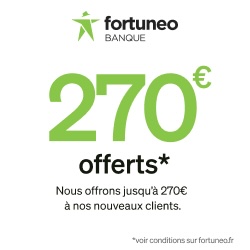 foetuneo pave 270